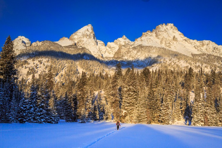 Sunrise Ski in Grand Teton National Park on safari with Jackson Hole Ecotour Adventures
