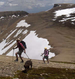 Jackson Hole Eco Hiking Tours