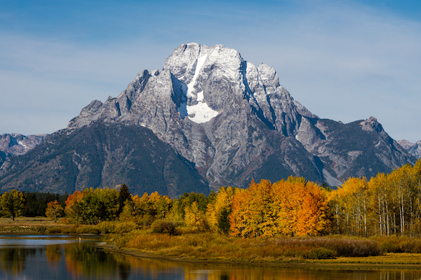 winter wildlife tours jackson hole wyoming