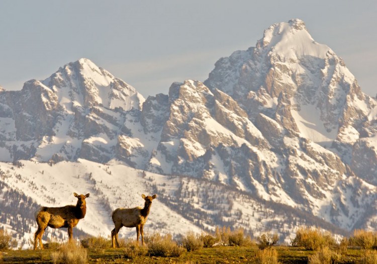 April adventures in Jackson Hole