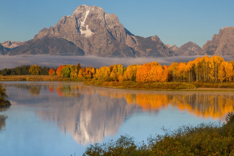 Fall at Oxbow Bend