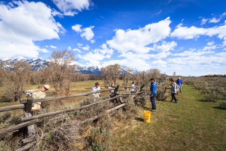 Students from Grace Episcopal School Remove Fencing in Jackson WY