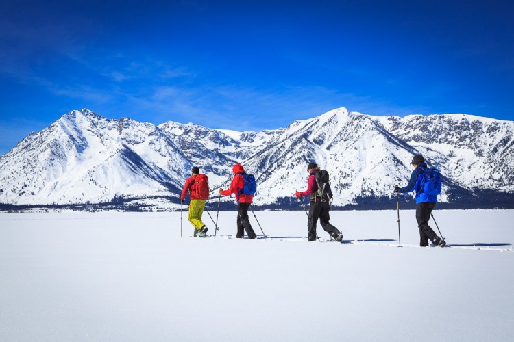 Snowshoe Tour in Grand Teton National Park