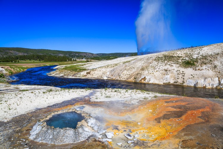 Geyser in Yellowstone National Park.