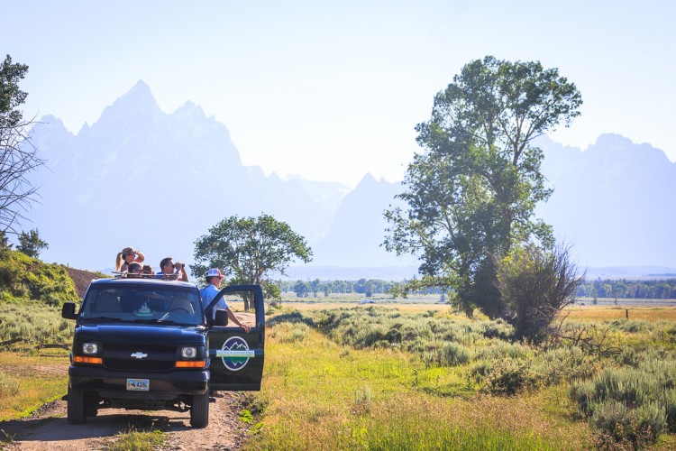 Grand Teton National Park Wildlife Tour