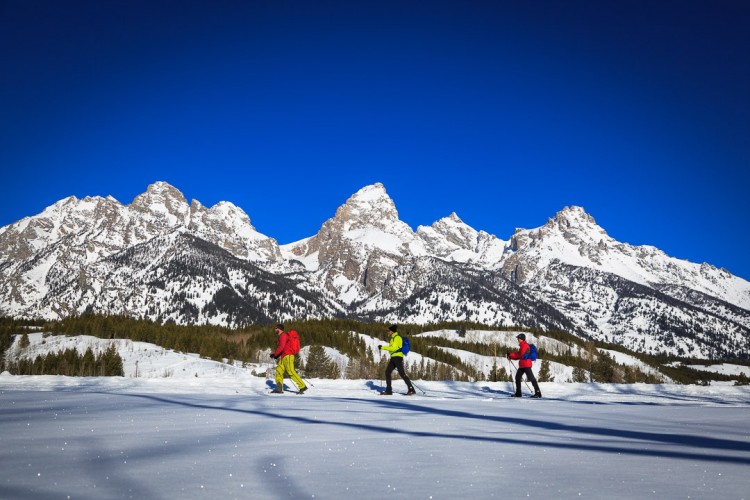 Cross Country Skiing in Grand Teton National Park