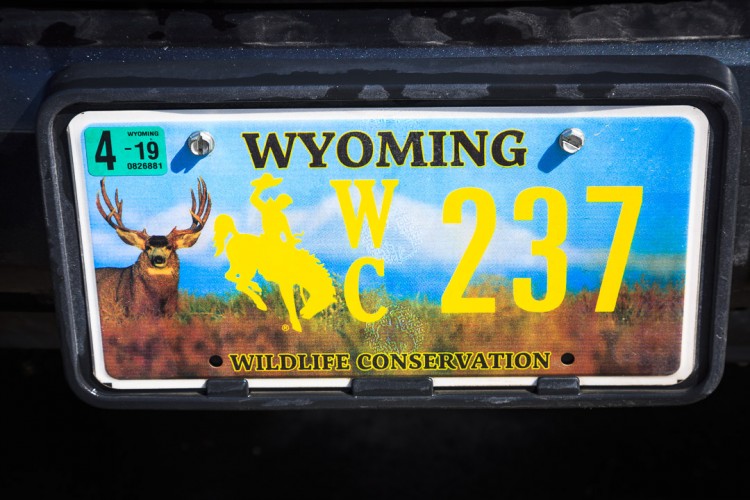 Wildlife Conservation Plates