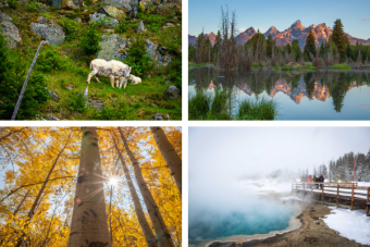 The Best Times to Visit Grand Teton and Yellowstone National Parks
