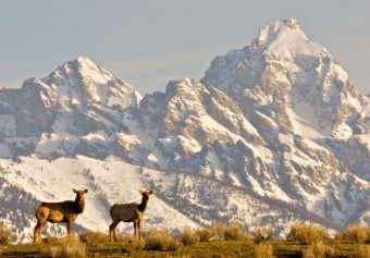 April Activities in Jackson Hole! 