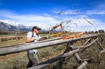 Don’t Fence me in: Protecting the Migration Corridors of Wyoming’s Wildlife