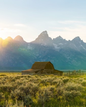 Why the Geology of Grand Teton National Park Matters for Wildlife Viewing