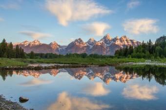Discover the Greater Yellowstone Ecosystem on a Guided Wildlife Tour From Jackson Hole