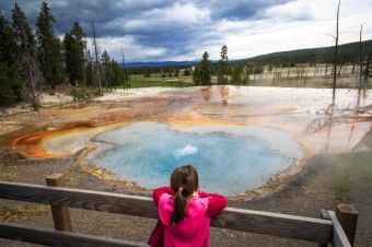 Yellowstone Reopens the Northern Loop - 93% of the Park is Now Open!