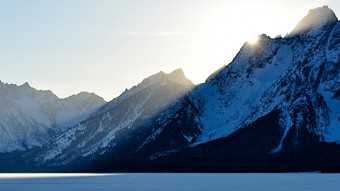 Jackson Hole Wildlife Ecotour Log January 2018
