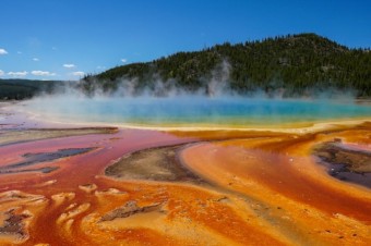 Yellowstone’s Thermophiles and the Fight Against COVID-19