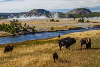 The Creation of Yellowstone National Park: A Story Older Than the Park Itself