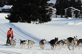 Winter Activities in Grand Teton National Park and Jackson Hole 