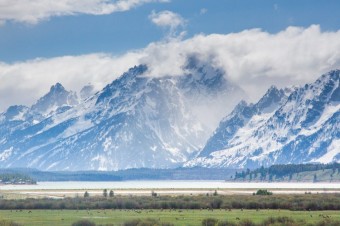 Jackson Hole Wildlife Tour Log Late May 2017