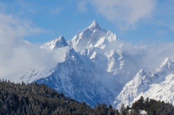 Jackson Hole Wildlife Log Late January 2017