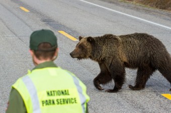 7 Ways to Carry Bear Spray in Yellowstone (and a few ways NOT to!)