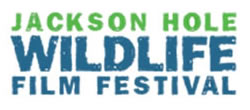 Jackson Hole Wildlife Film