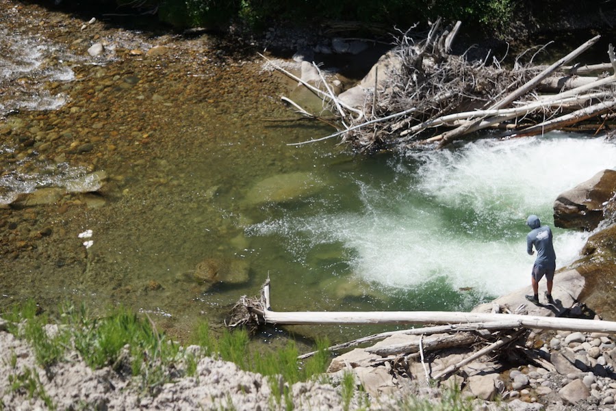 Flyfishing deep pools in Jackson Hole