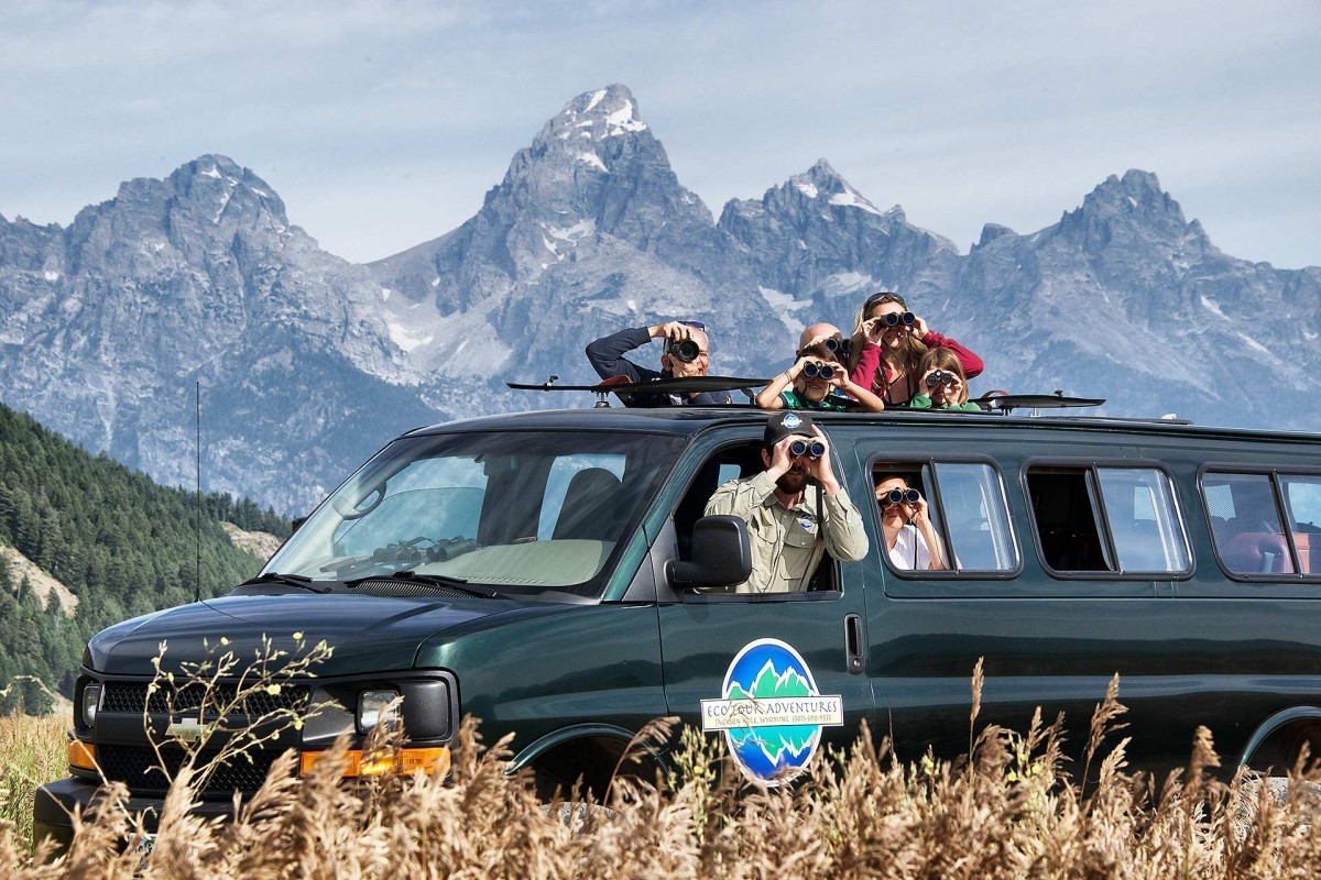 wildlife tour grand teton