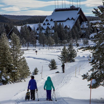 Yellowstone Cross Country Ski / Snowshoe Multi Day Expedition