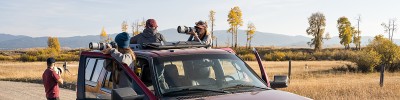 wildlife tours jackson wy