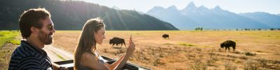 Sunset Guided Wildlife Tour in Grand Teton National Park