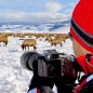 Winter Half Day Wildlife Tour