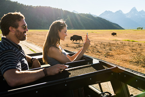 Sunrise Guided Wildlife Tour in Grand Teton National Park