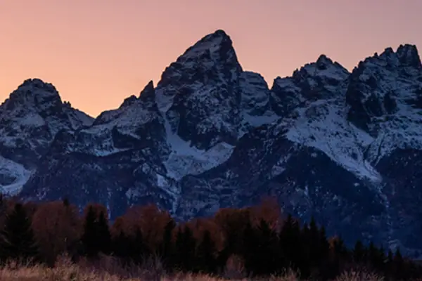Sunset Guided Wildlife Tour in Grand Teton National Park