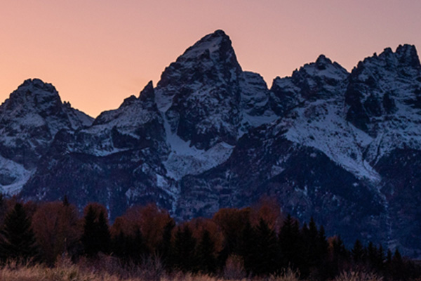 Sunset Guided Wildlife Tour in Grand Teton National Park