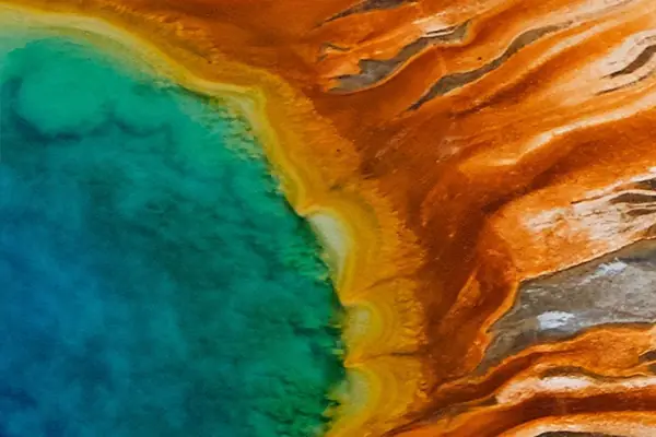 Yellowstone Wildlife Eco Tour Adventure Guided Trips to Yellowstone National Park