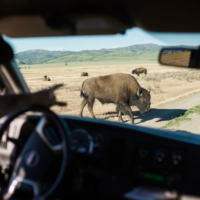 Two Day Tour Grand Teton National Park